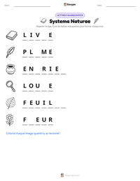 Aperçu de la feuille de travail imprimable Systema Naturae