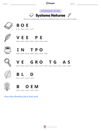 Systema Naturae afdrukbare werkblad voorbeeld