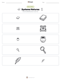 Systema Naturae printable worksheet preview