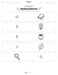 Aperçu de la feuille de travail imprimable Systema Naturae