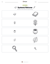 Xem trước tài liệu in sẵn Systema Naturae