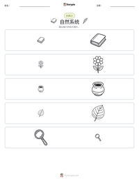 自然系统 可打印工作表预览