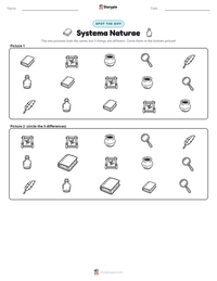 Systema Naturae printable worksheet preview