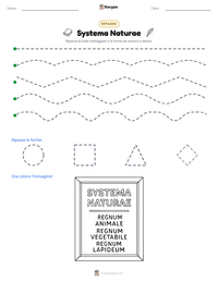 Anteprima della scheda stampabile di Systema Naturae