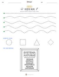 자연의 체계 인쇄 가능한 워크시트 미리보기