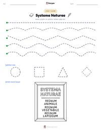 Systema Naturae yazdırılabilir çalışma sayfası önizlemesi