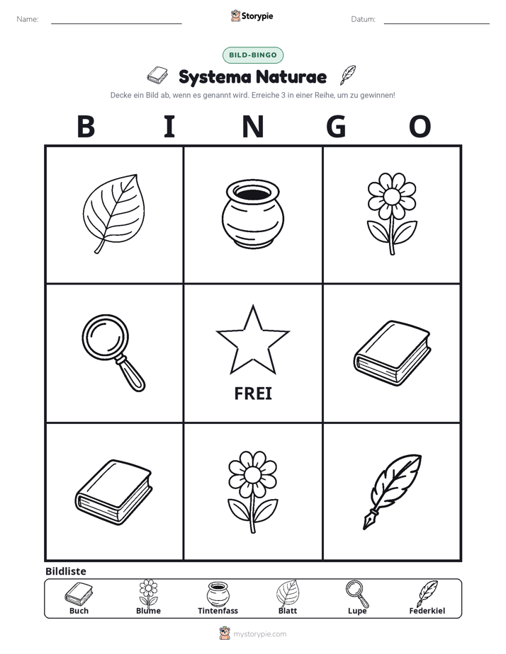Bild-Bingo