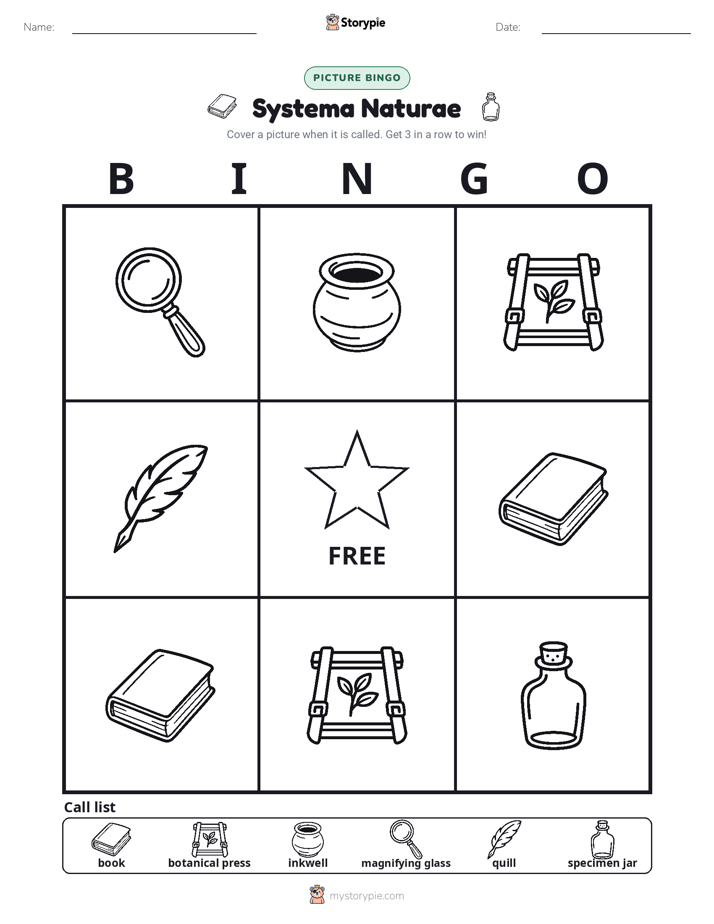 Picture Bingo