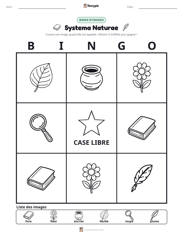 Bingo d'Images