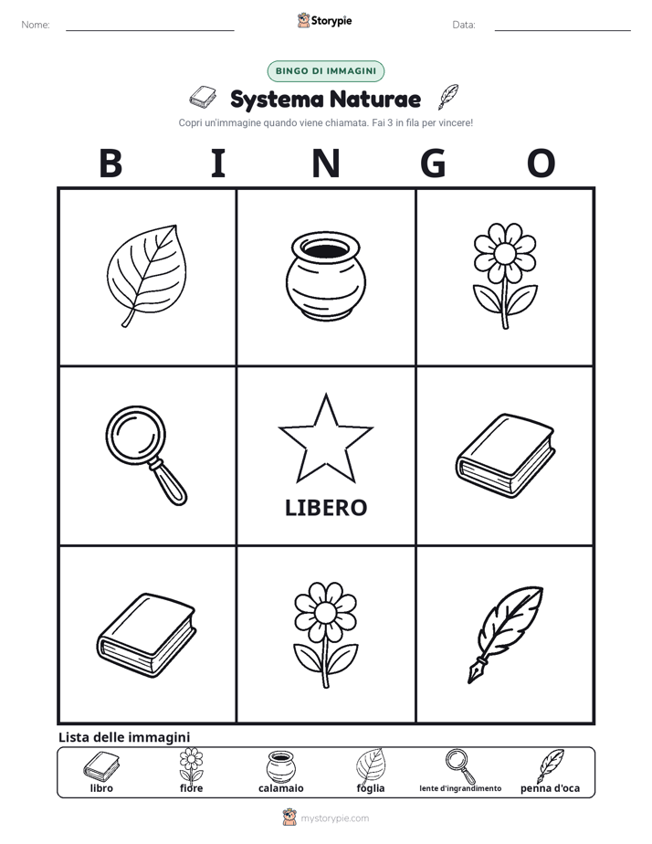 Bingo delle Immagini
