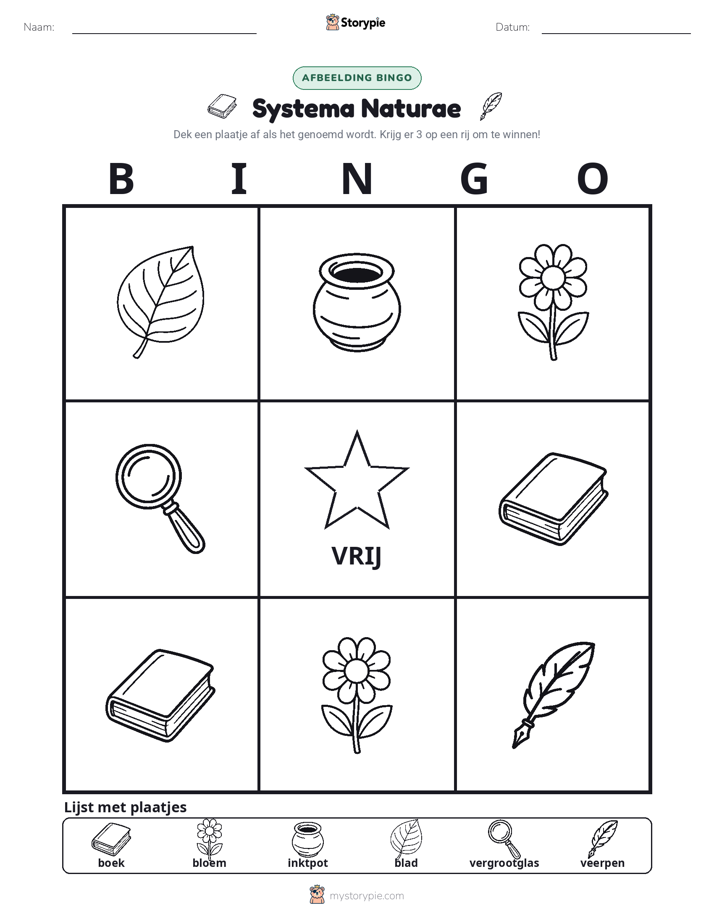 Afbeelding Bingo
