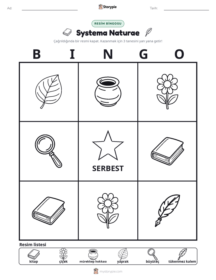 Resim Bingo