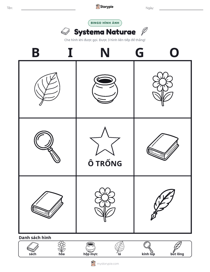 Bingo Hình Ảnh