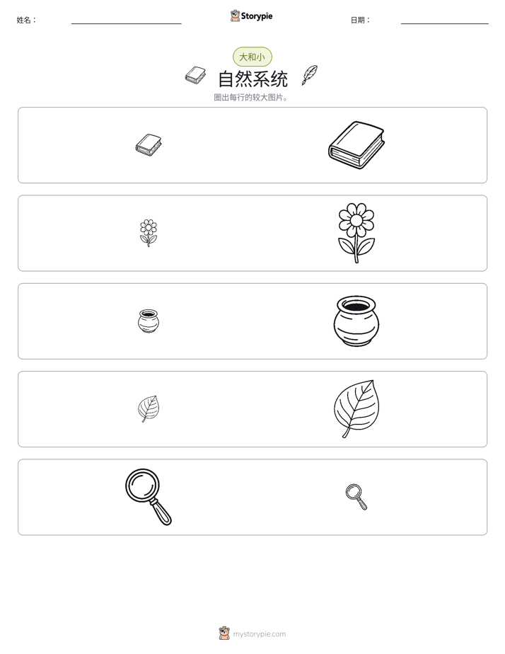 分类
