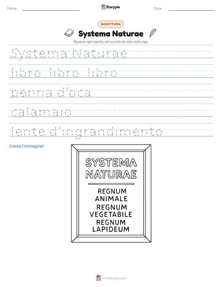 Pratica di Scrittura