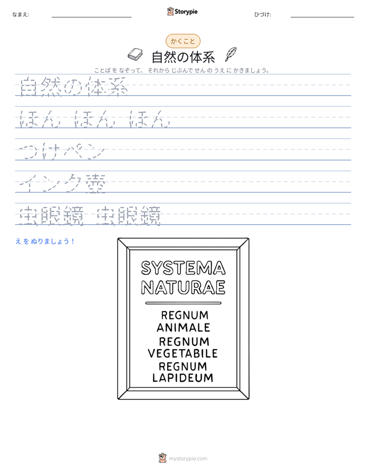 書き取り練習