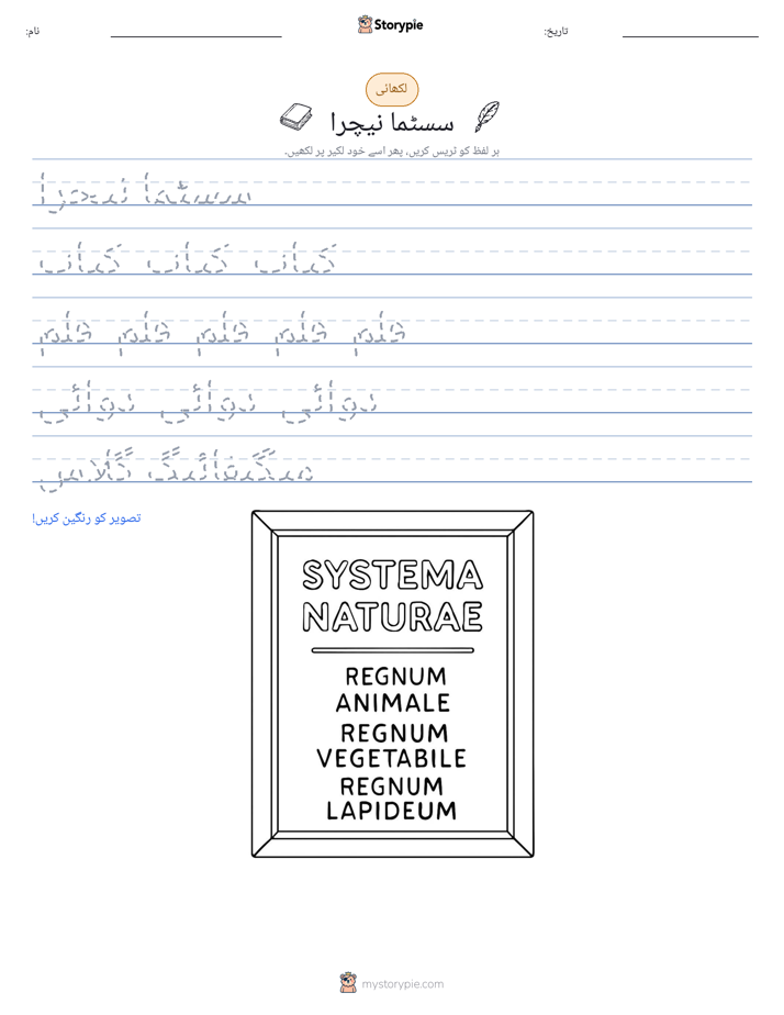 تحریری مشق