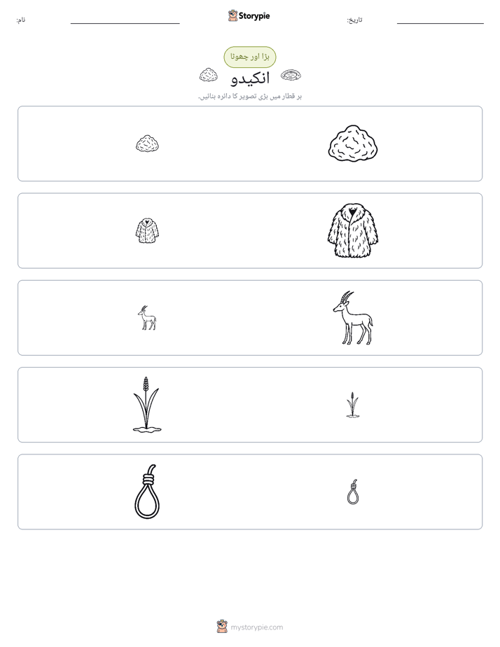 ترتیب دینا