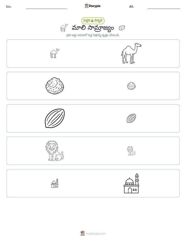 వర్గీకరణ
