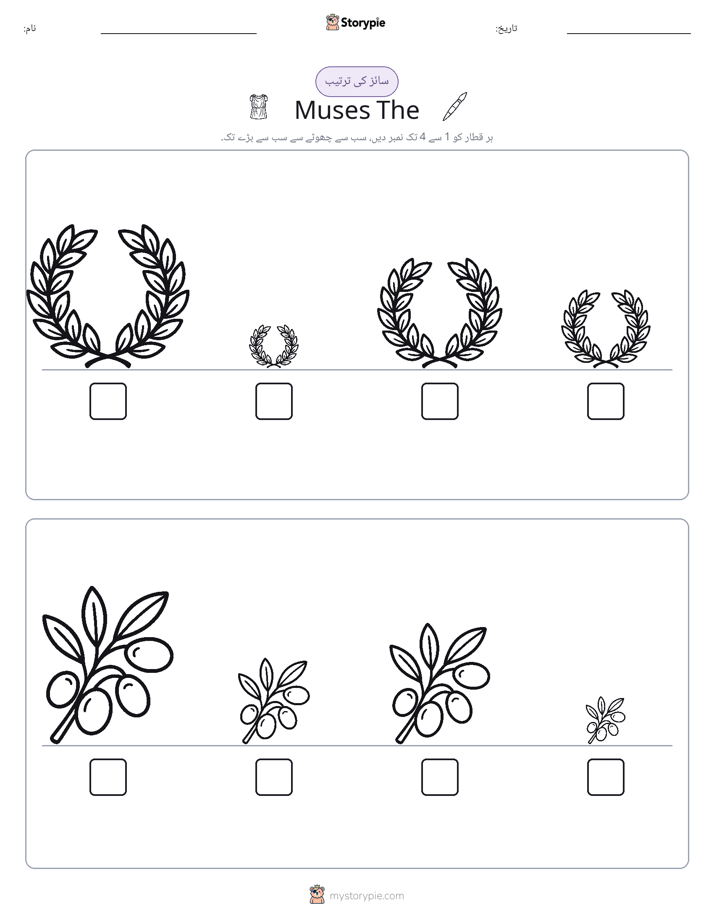 سائز کی ترتیب
