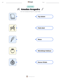 Amedeo Avogadro yazdırılabilir çalışma sayfası önizlemesi
