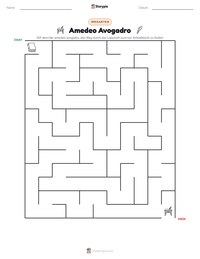 Amedeo Avogadro druckbare Arbeitsblatt Vorschau