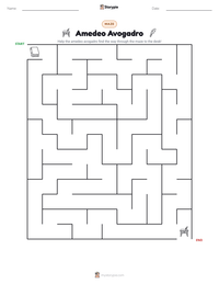 Amedeo Avogadro printable worksheet preview