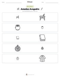 Amedeo Avogadro printable worksheet preview