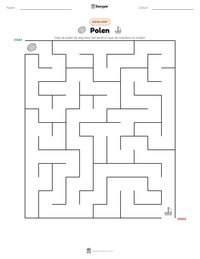 Polen afdrukbare werkblad voorbeeld