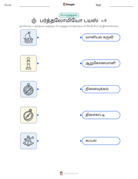 பர்த்தலோமியோ டயஸ் அச்சிடக்கூடிய வேலைப்பதிவின் முன்னோட்டம்