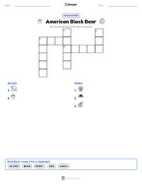 American Black Bear printable worksheet preview