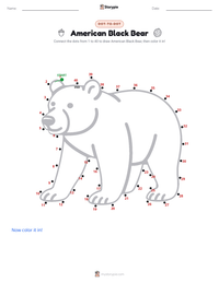American Black Bear printable worksheet preview