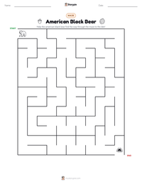 American Black Bear printable worksheet preview