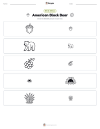 American Black Bear printable worksheet preview