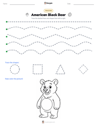 American Black Bear printable worksheet preview