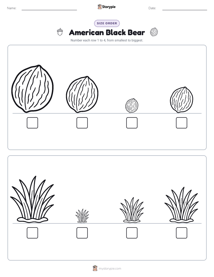 Size Order