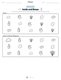 Acids and Bases printable worksheet preview