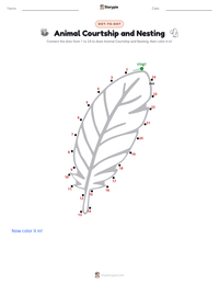 Animal Courtship and Nesting printable worksheet preview