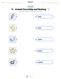 Animal Courtship and Nesting printable worksheet for kids