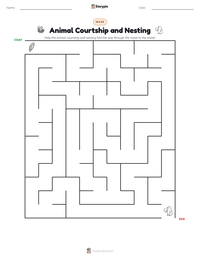 Animal Courtship and Nesting printable worksheet preview
