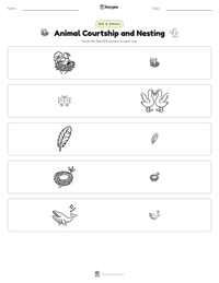Animal Courtship and Nesting printable worksheet preview
