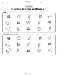 Animal Courtship and Nesting printable worksheet preview