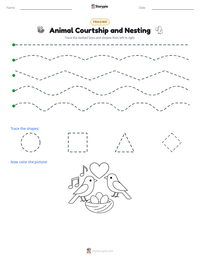 Animal Courtship and Nesting printable worksheet preview