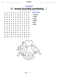 Animal Courtship and Nesting printable worksheet preview