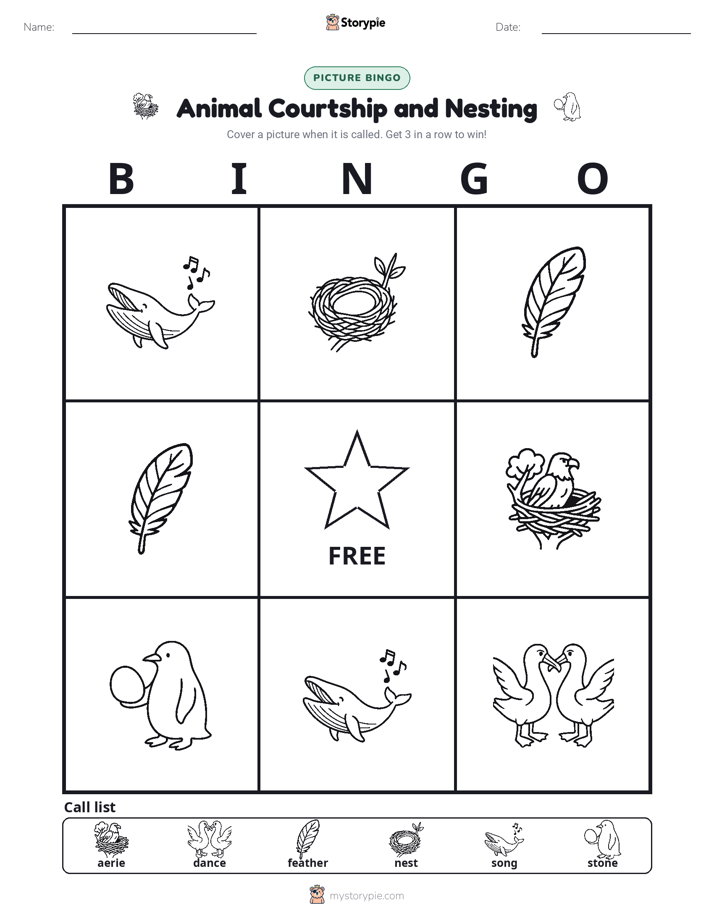Picture Bingo