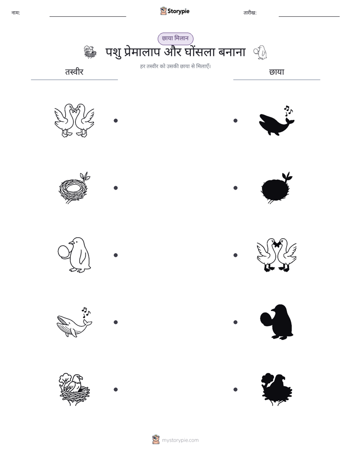 छाया मिलान
