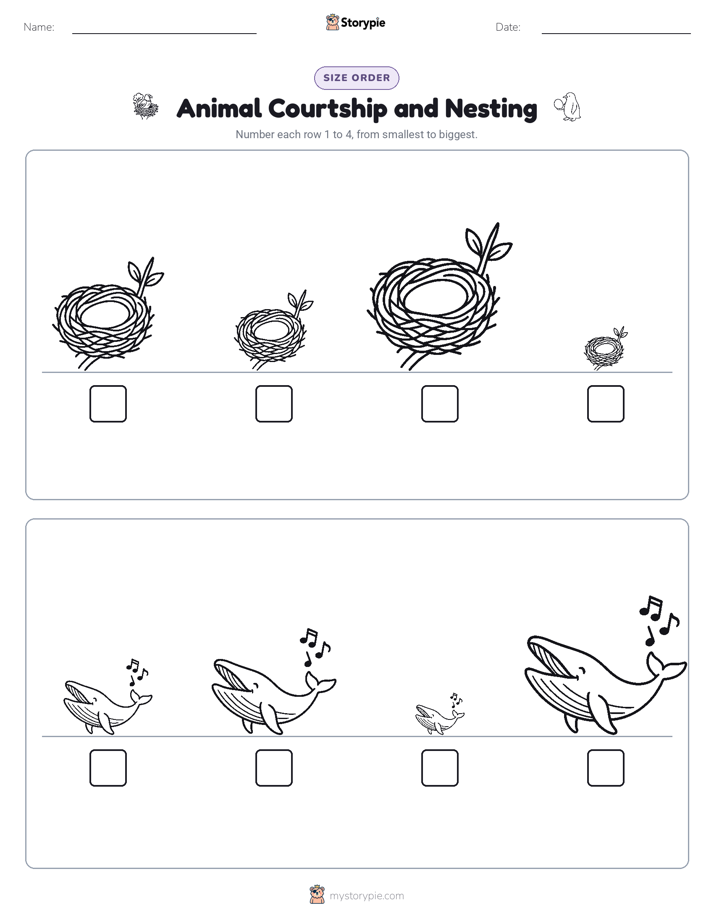 Size Order