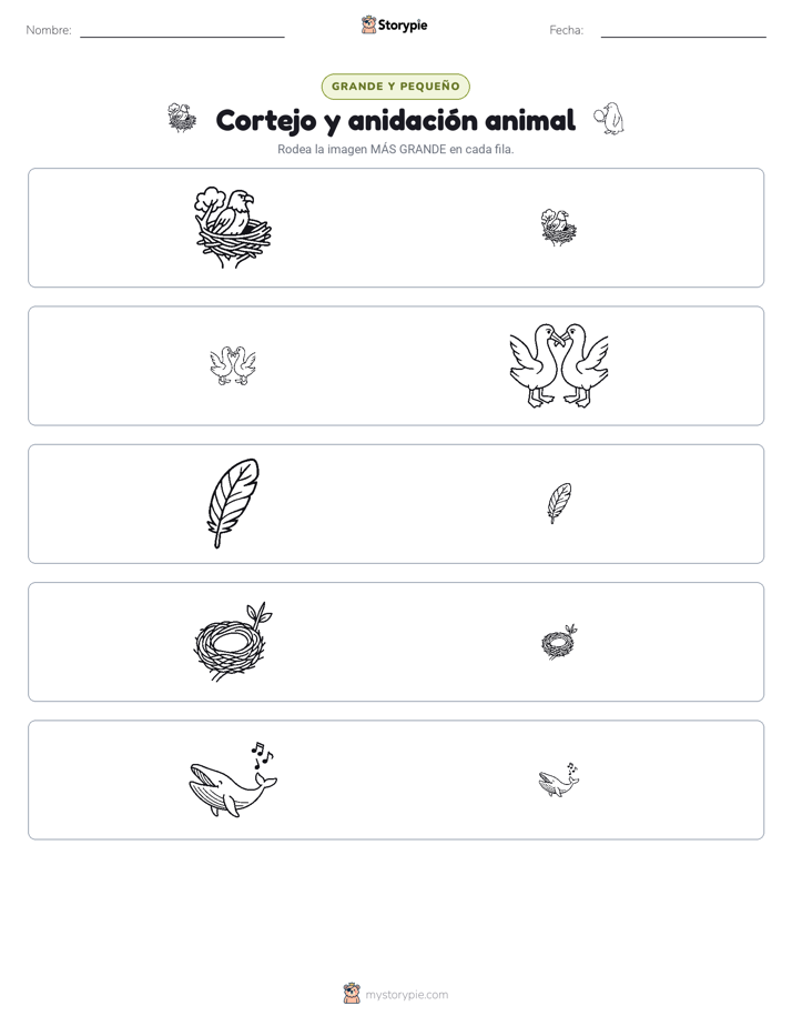 Clasificación