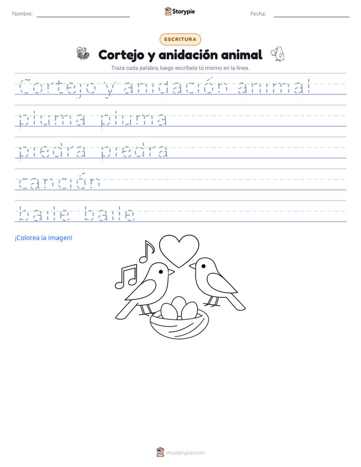 Práctica de Escritura