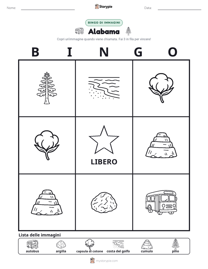 Bingo delle Immagini